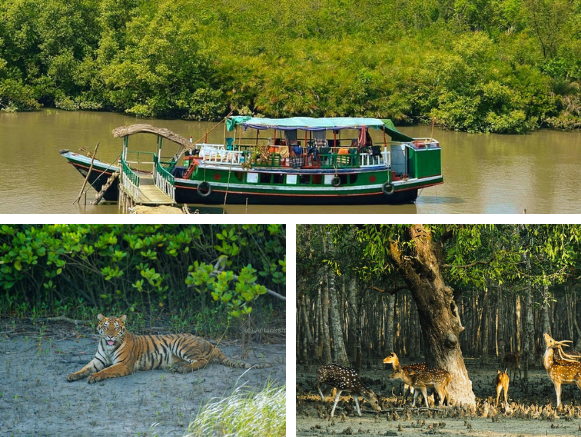 Sundarban Tour - 2024